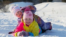 Timeline: Проектная деятельность учащихся. Тема проекта «Зимние забавы в творчестве художников, композиторов и поэтов».