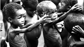Timeline: World hunger over the years