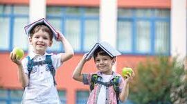 Timeline: Этапы проведения проекта