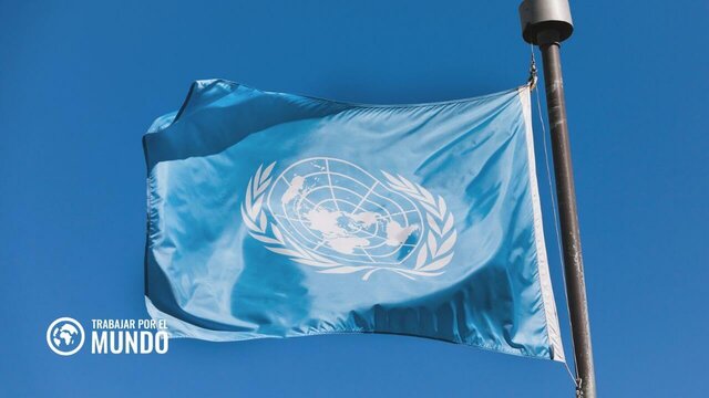 Formación de la ONU