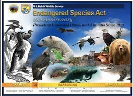 Engaged Species Act (1973)