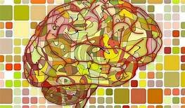 PRIMERA CONFERENCIA LATINOAMERICANA