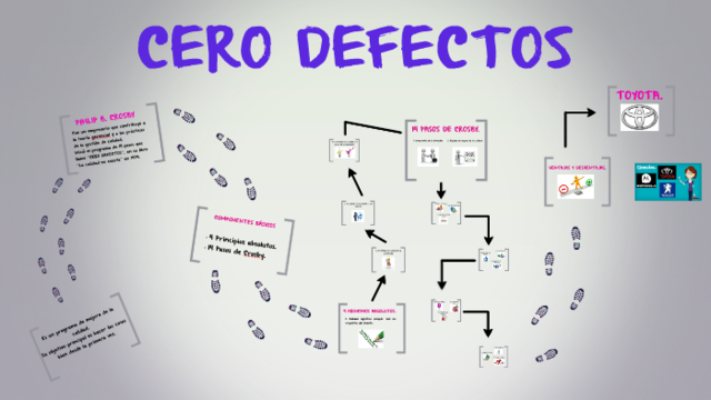 TEORÍA CERO DEFECTOS