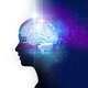 15 tipos de inteligencia 4742 600