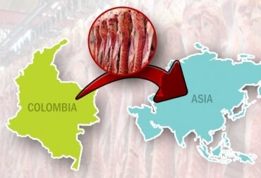 Composición de las exportaciones del Asia-Pacífico a América Latina por productos