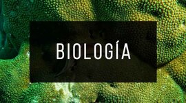 Timeline: Señores de la biologia