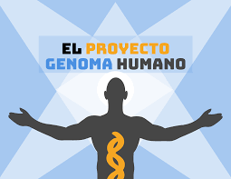 Proyecto genoma humano