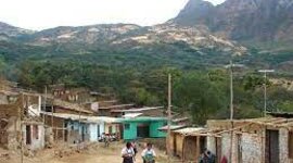 Timeline: Programas Públicos y Política Social