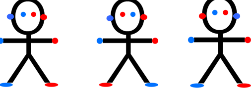 Tipos de lateralidad