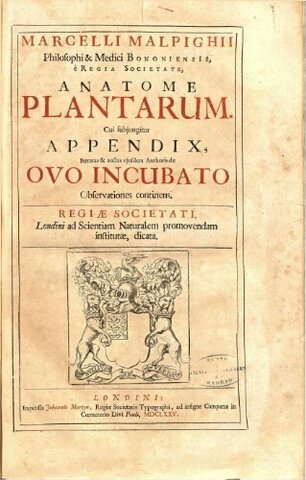 Anatome Plantarum