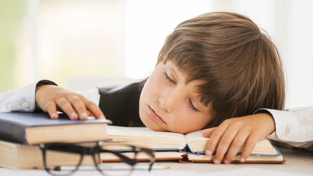 La pedagogía y el problema educativo