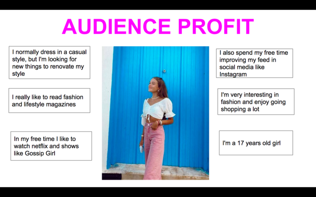 Audience Profile