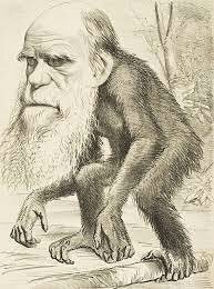 Teoría de la Evolución por Charles Darwin
