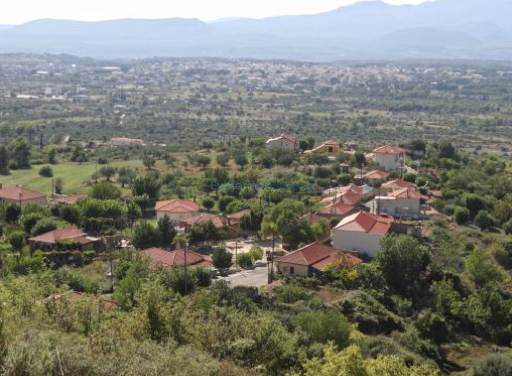 Βοήθεια από τον Ζαχαριά