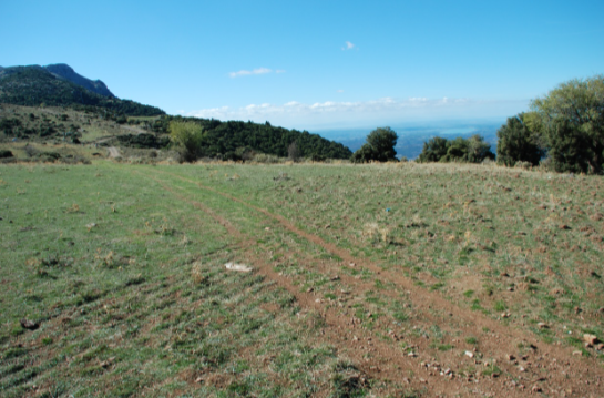 Αγώνας κατά των Λαλαίων