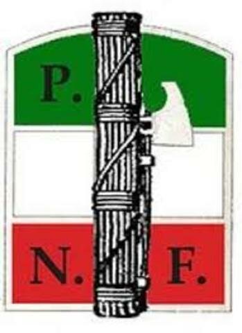 Partit nacional feixista