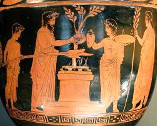 Primeras observaciones en plantas