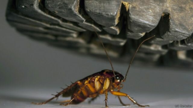 Timeline sharing past experiences.