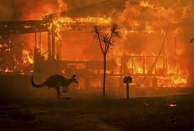 January 2020: Australian Bushfires
