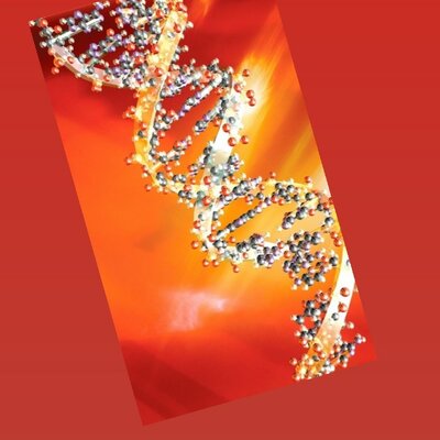 Timeline: Inicio de la genetica hasta el decubrimiento del ADN.