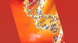 Timeline: Inicio de la genetica hasta el decubrimiento del ADN.