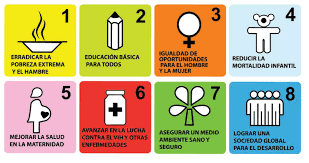 Los Objetivos de Desarrollo del Milenio