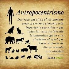 CAMBIOS QUE GENERÓ EL HUMANISMO