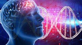 Timeline: Contribuciones ala genética a traves de  los años