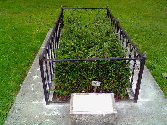 En Cantón Ginebra, muerte de Calvino por Sepsis