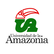 INICIE LOS ESTUDIOS EN LA UNIVERSIDAD