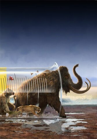 Evolution of Print Media Illustrations