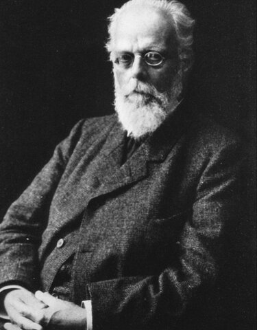 Teoria del plasma germinal