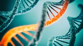 Timeline: Principales descubrimientos del ADN