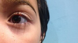 Timeline: LA MEVA VIDA