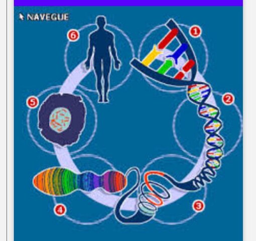 Empieza formalmente el proyecto Genoma Humano