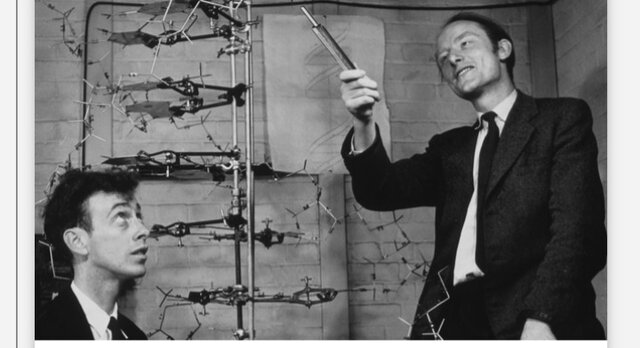 Los cientificos empienzan a identificar genes que causa  enfermedades a identificar genes que causan enfermedades concretas.