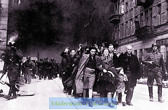 Alguns Jueus es rebelen contra els nazis