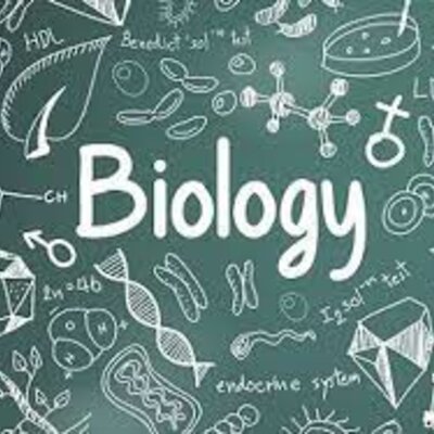 Timeline: Riaño.Catalina_9a