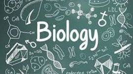 Timeline: Riaño.Catalina_9a