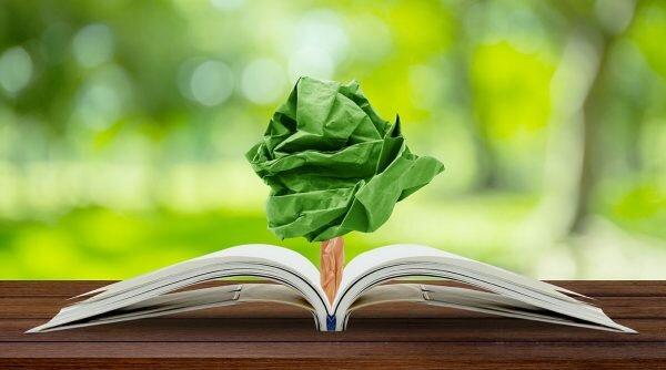 Origen de la Educación Ambiental