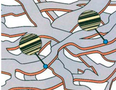 Clay - Alexander Graham Cairns - Smith 1987