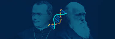 Genética Mendeliana y Teoría de la Evolución