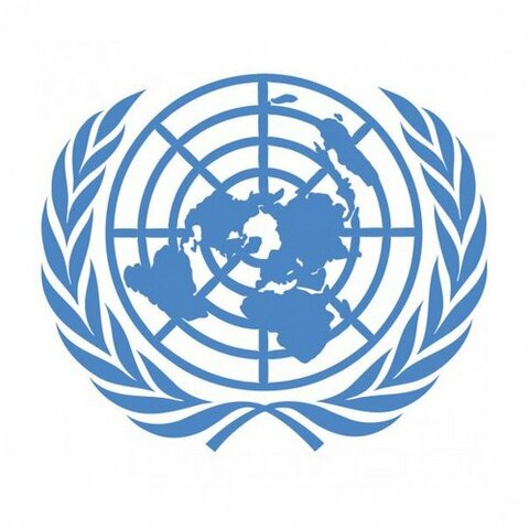 Organització de les Nacions Unides
