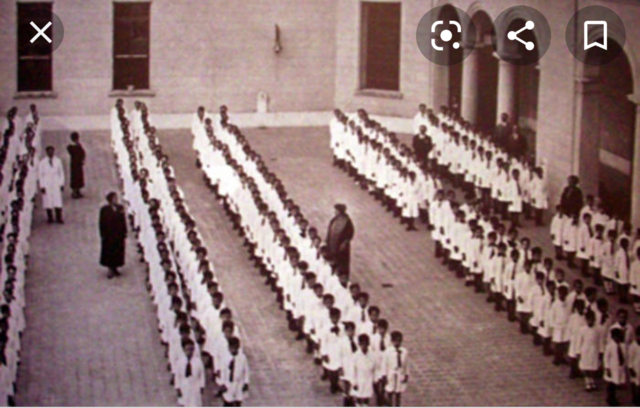 Creación de más de 40 Escuelas