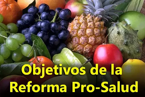 Visión sobre la reforma pro salud