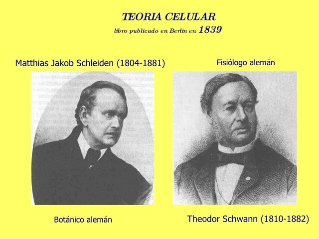 Schleiden y Schwann
