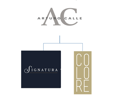 LLEGANDO A TODOS LOS SECTORES