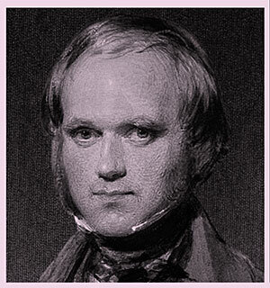 Educación universitaria