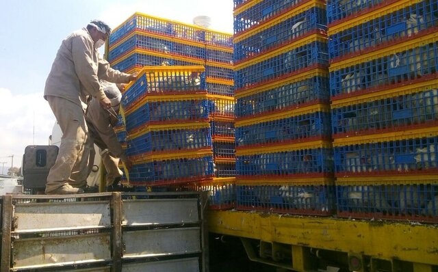 Las negaciones (China)