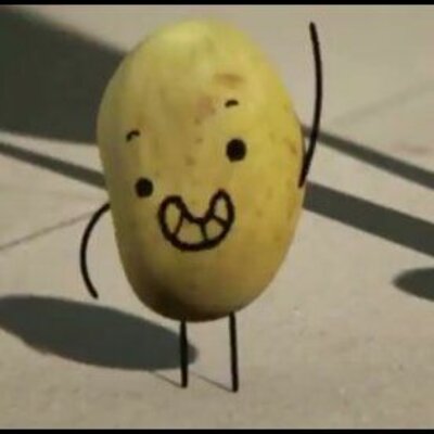 Timeline: Txaro & marisa liburu salduak